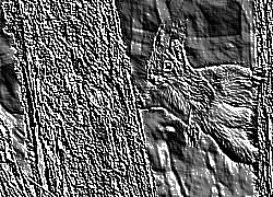 Skamielina