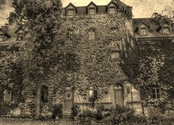Szary + Sepia