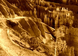 Sepia