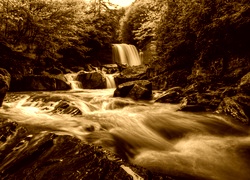 Sepia