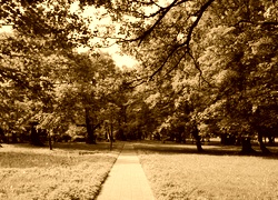 Sepia