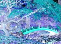 Negatyw