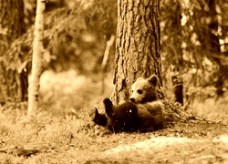 Sepia