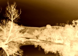 Sepia + Negatyw
