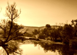Sepia
