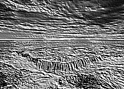 Skamielina