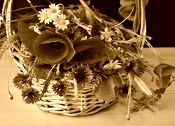 Sepia