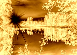 Sepia + Negatyw