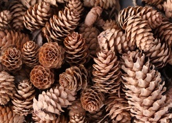 Oryginalny obrazek