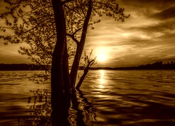 Sepia