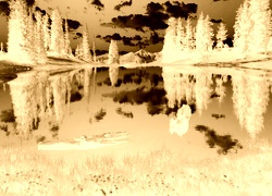 Sepia + Negatyw