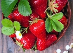 Oryginalny obrazek