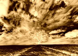 Sepia + Negatyw