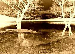 Sepia + Negatyw