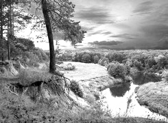 Szary + Sepia