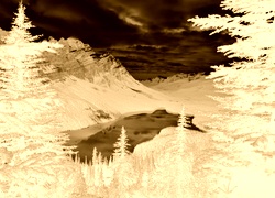 Sepia + Negatyw