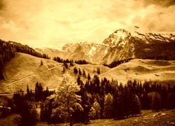 Sepia