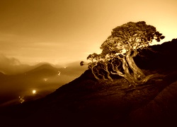 Sepia