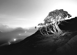 Szary + Sepia