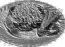 Skamielina