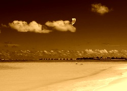 Sepia