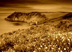 Sepia