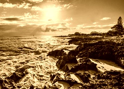 Sepia