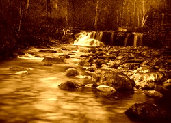 Sepia