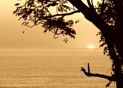Sepia