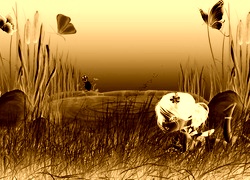 Sepia + Negatyw