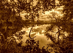 Sepia