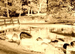 Sepia + Negatyw