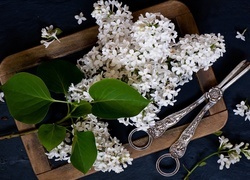 Oryginalny obrazek