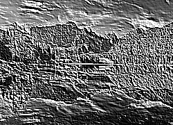 Skamielina