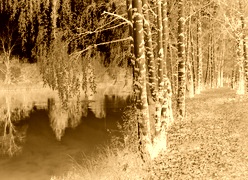 Sepia + Negatyw