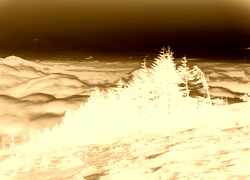 Sepia + Negatyw