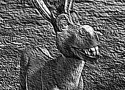 Skamielina