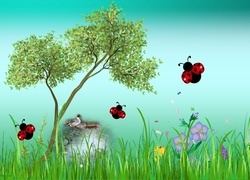 Oryginalny obrazek