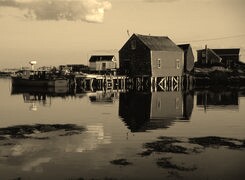 Szary + Sepia
