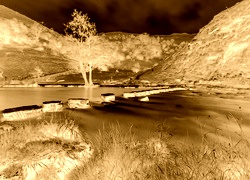 Sepia + Negatyw