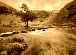 Sepia