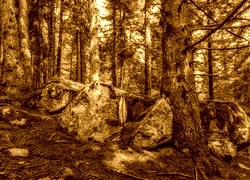 Sepia