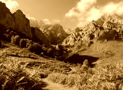 Sepia