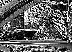 Skamielina