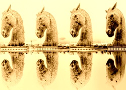 Sepia + Negatyw