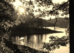 Sepia