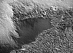 Skamielina
