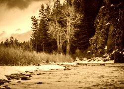 Sepia