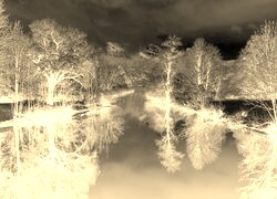 Sepia + Negatyw