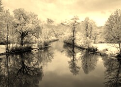 Szary + Sepia